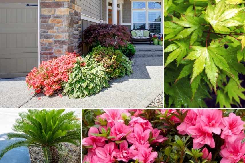 aménager entrée allée de garage vegetaux plantes arbustes