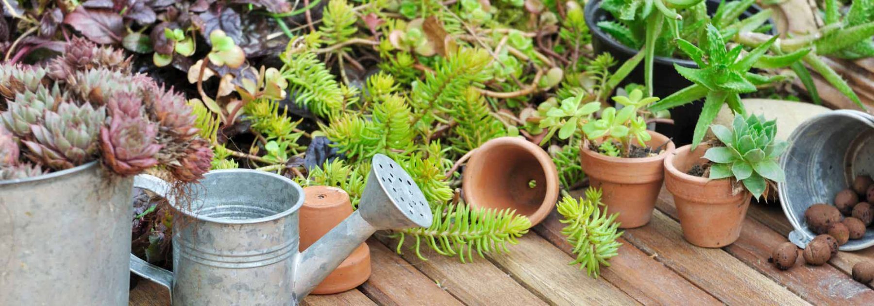 Pot de fleur en plastique Set de 4, Pot de plante rond avec système  d'arrosage pour