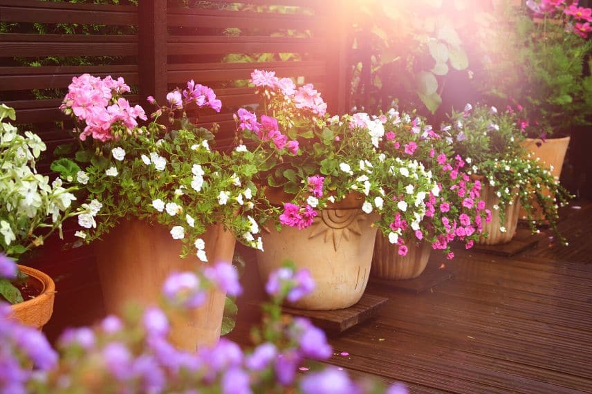 aménager une terrasse avec des pots