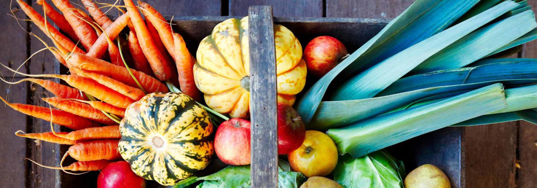 Le calendrier potager - Octobre