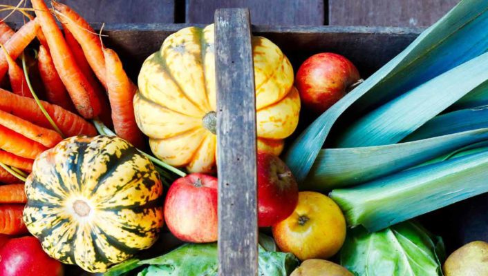 Le calendrier potager - Octobre