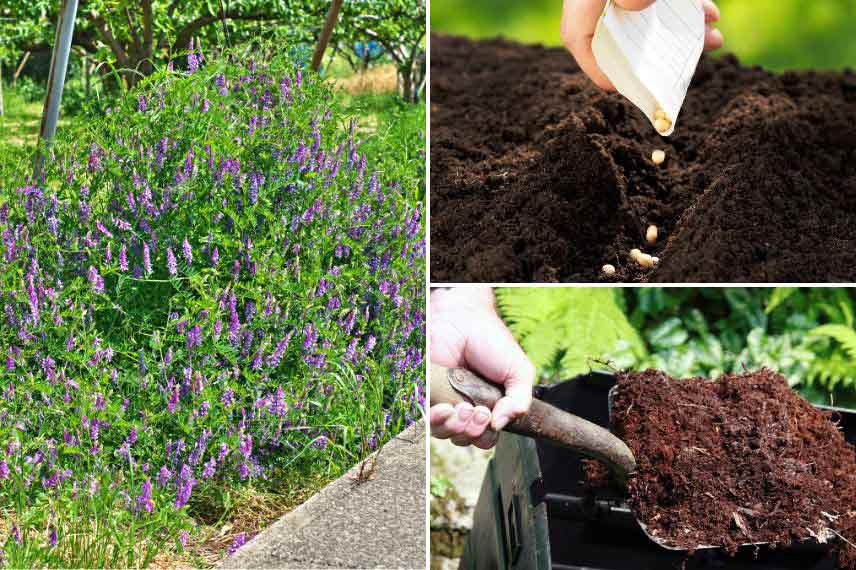 Le calendrier potager - Octobre - Promesse de Fleurs