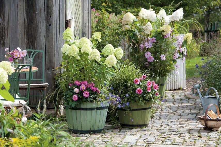 décorer une terrasse