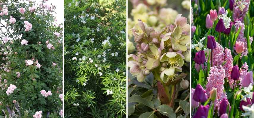 planter plantation en automne, pourquoi planter en automne