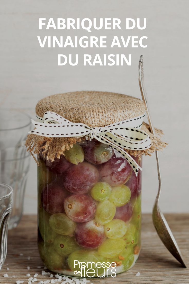 fabrication de vinaigre de raisin