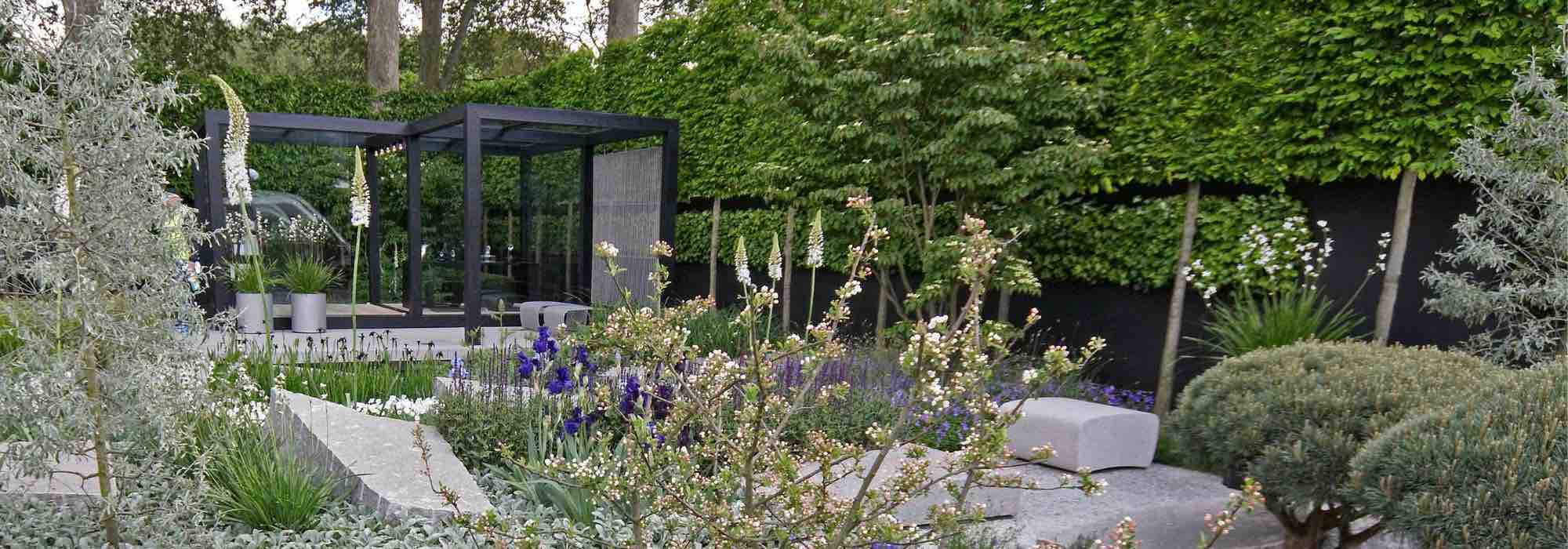 Les plantes vivaces supportant la sécheresse et la chaleur pour un jardin contemporain