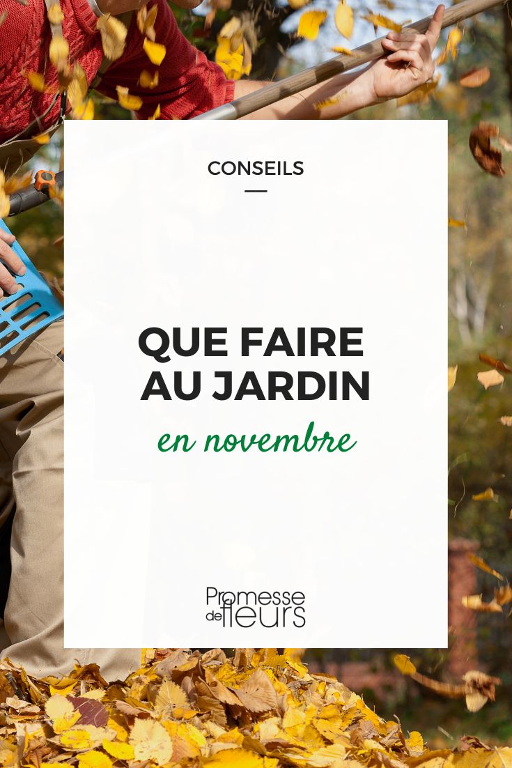 Que faire au jardin en novembre