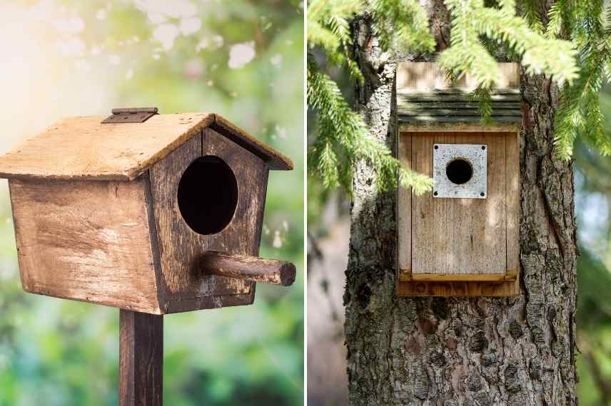 Protéger les nids des oiseaux des predateurs, protection oiseaux predateurs