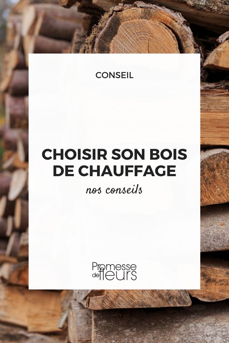 choisir son bois de chauffage