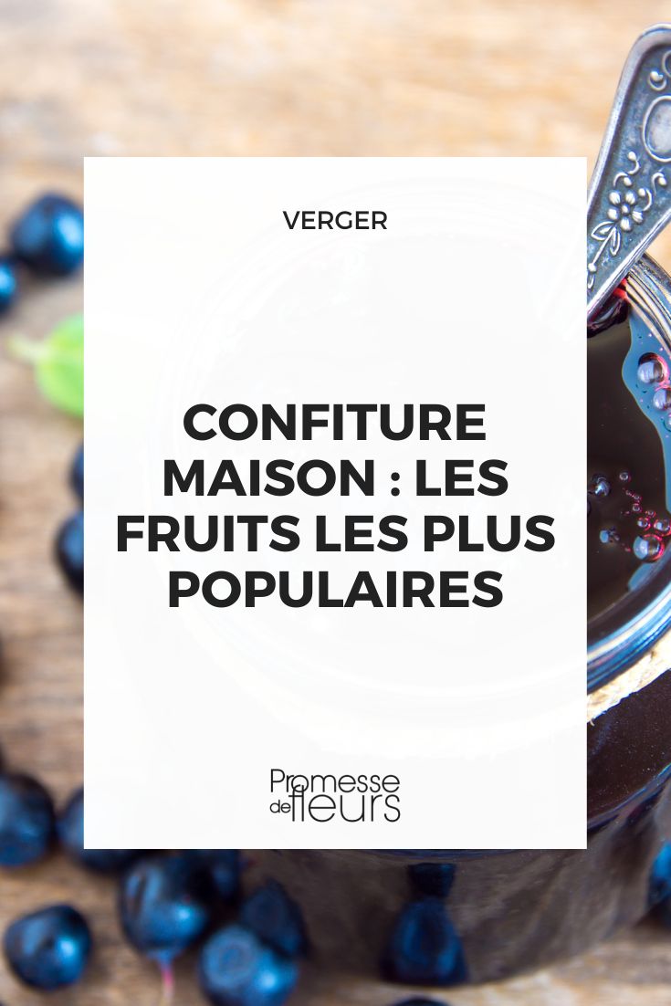 confiture maison fruits les plus populaires