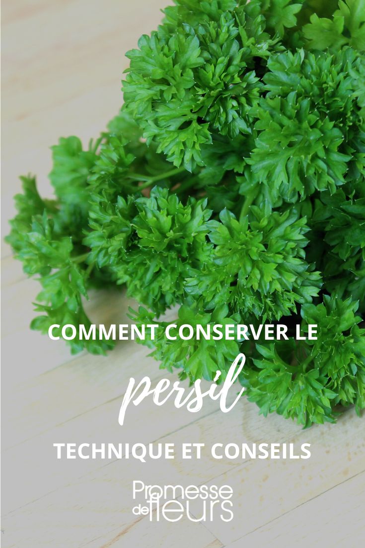 conserver le persil