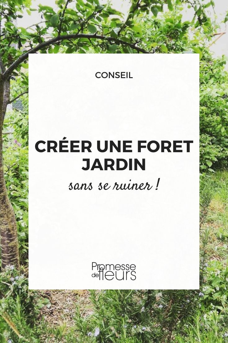 creer une foret jardin avec des plantes en racines nues