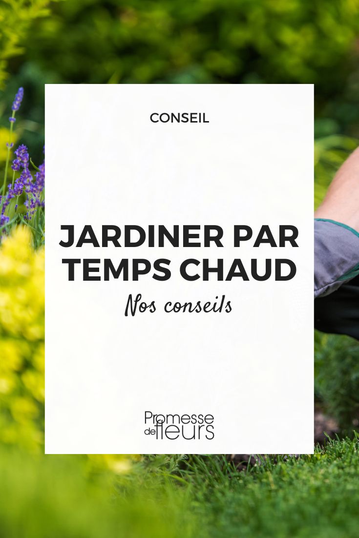 jardiner par temps chaud