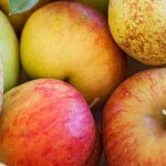 Récolter et conserver les pommes et les poires