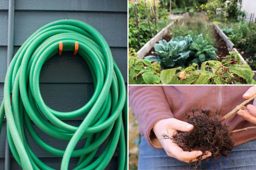 que faire au potager en novembre