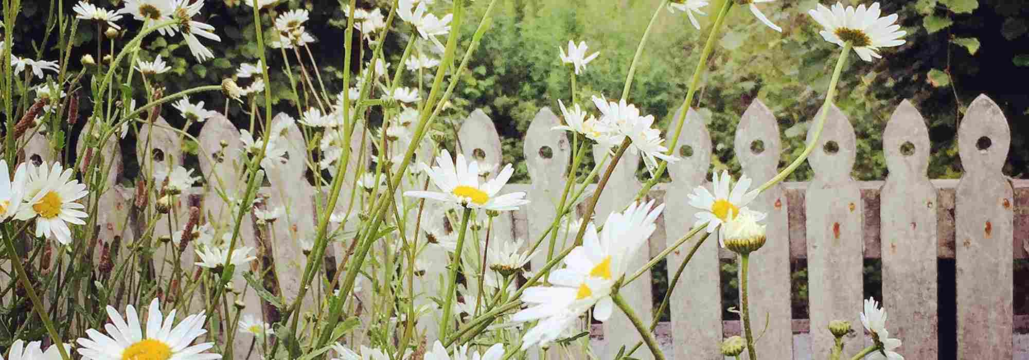 Cottage core : la tendance alliant jardin de campagne et lâcher-prise