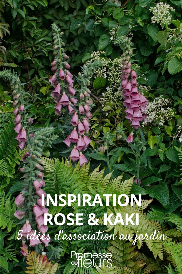 tendance et inspiration kaki rose