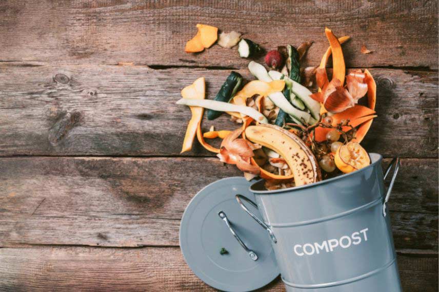 faire du thé de compost