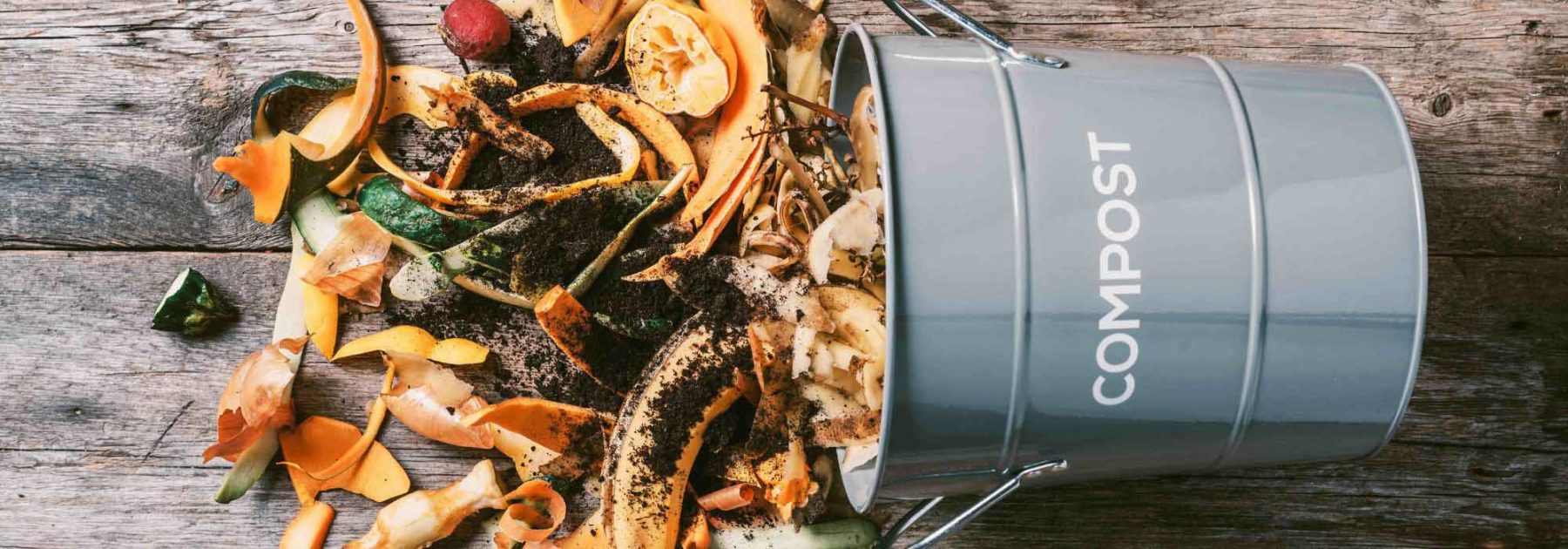 Thé de compost : recette et utilisation au jardin