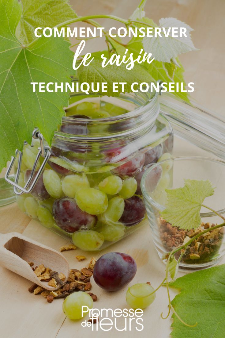 Comment faire de la confiture de raisin ? - Blog Promesse de fleurs