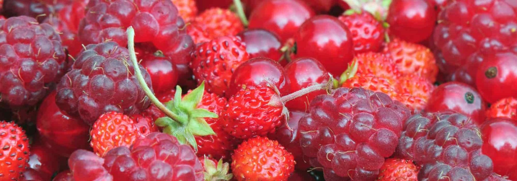 La framboise, tout ce qu'il faut savoir - Blog mon-marché.fr