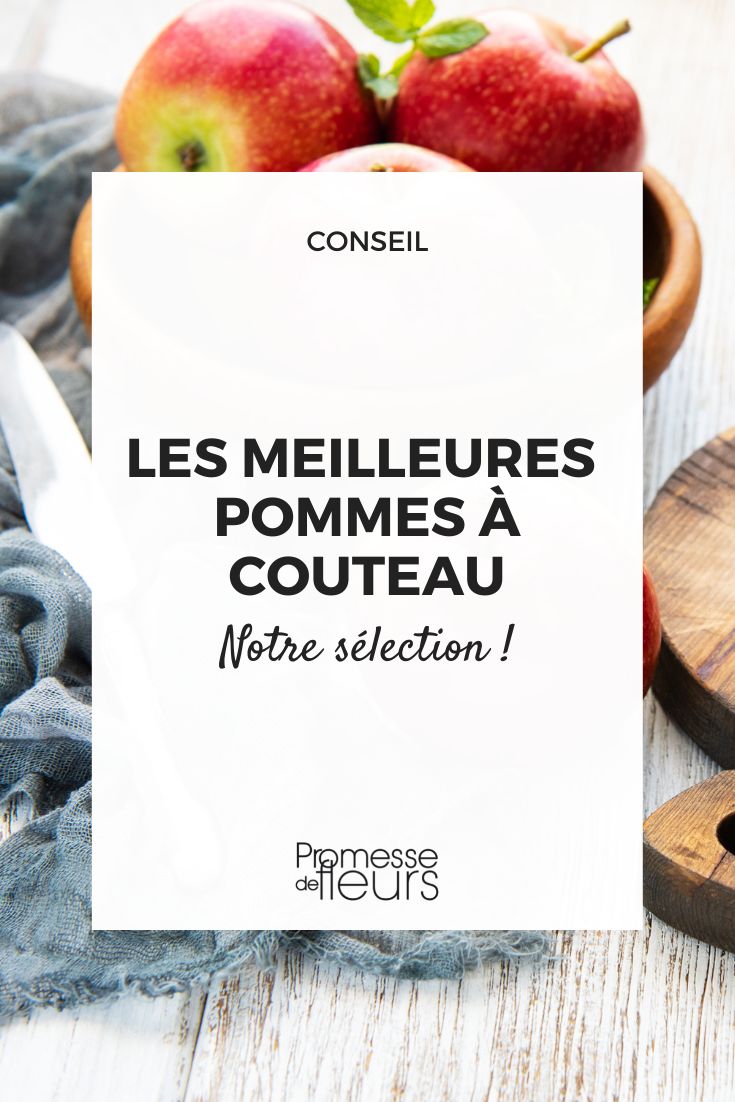 Pommes a couteau quelles variétes