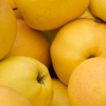 Pomme jaune : les 5 meilleures variétés à planter au verger