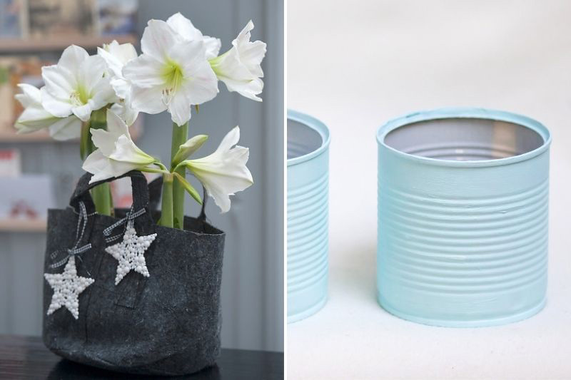 tuto planter un amaryllis avec les enfants