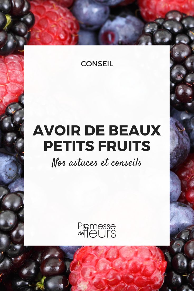 avoir de beaux petits fruits