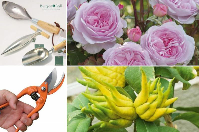 6 cadeaux de jardinage pour les passionnés – Blog BUT