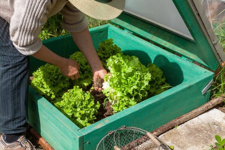 fabriquer des abris potager soi même