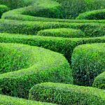 Créer un labyrinthe au jardin