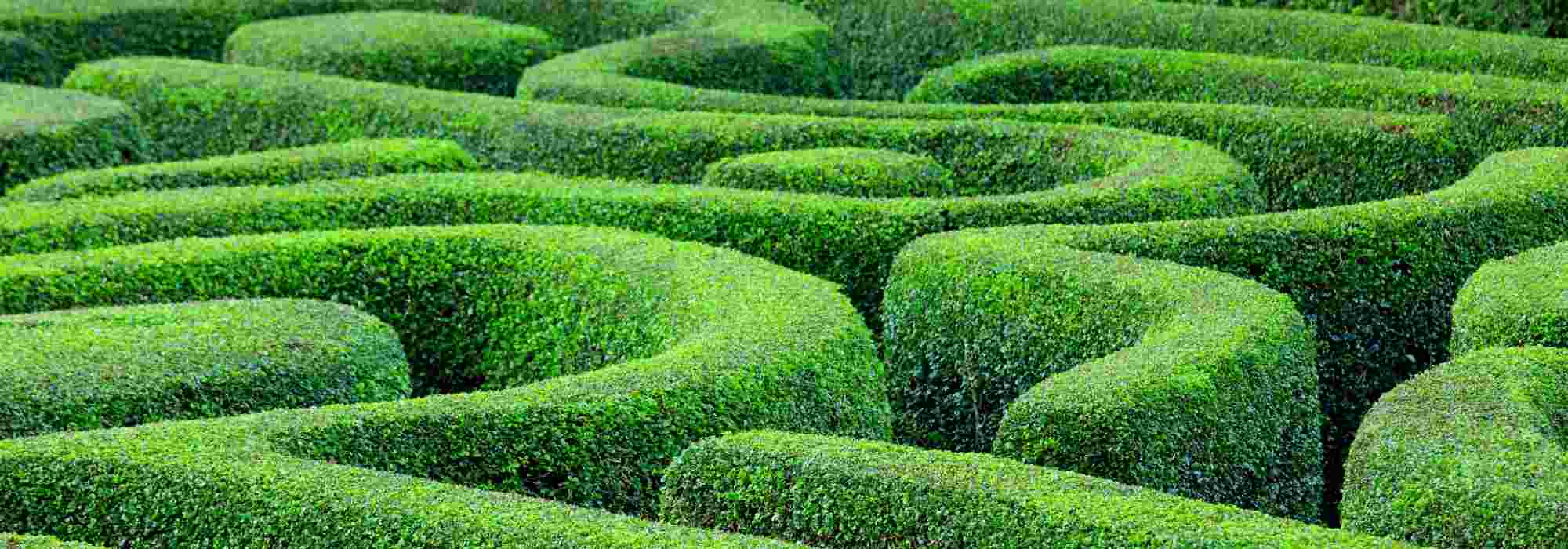 Créer un labyrinthe au jardin