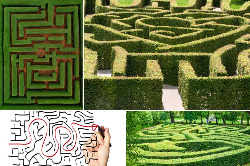 créer un labyrinthe au jardin, labyrinthe vegetal exemples, labyrinthe aménager