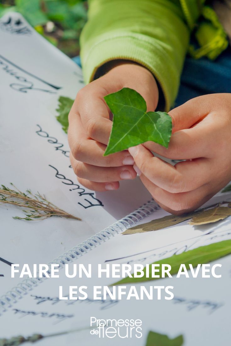 faire un herbier avec les enfants