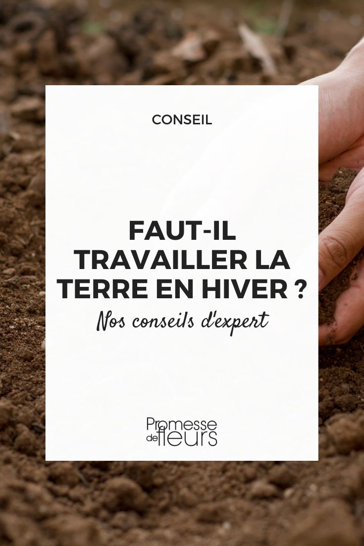 faut-il travailler la terre en hiver