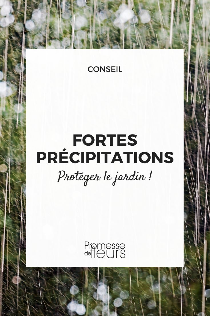 forte precipitation au jardin