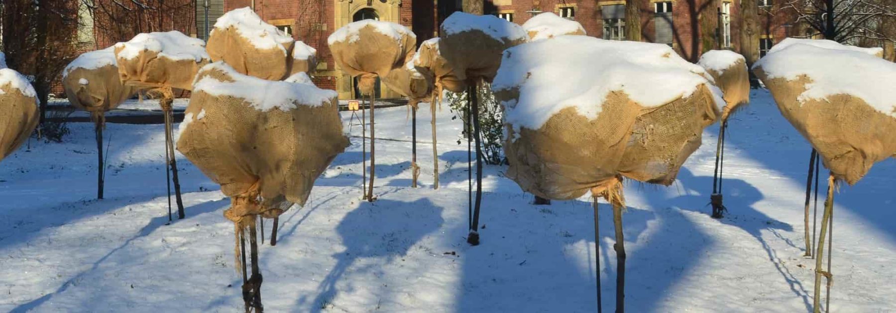 Couvre-fenêtre pour l'hiver  Couverture de neige de pare-brise de