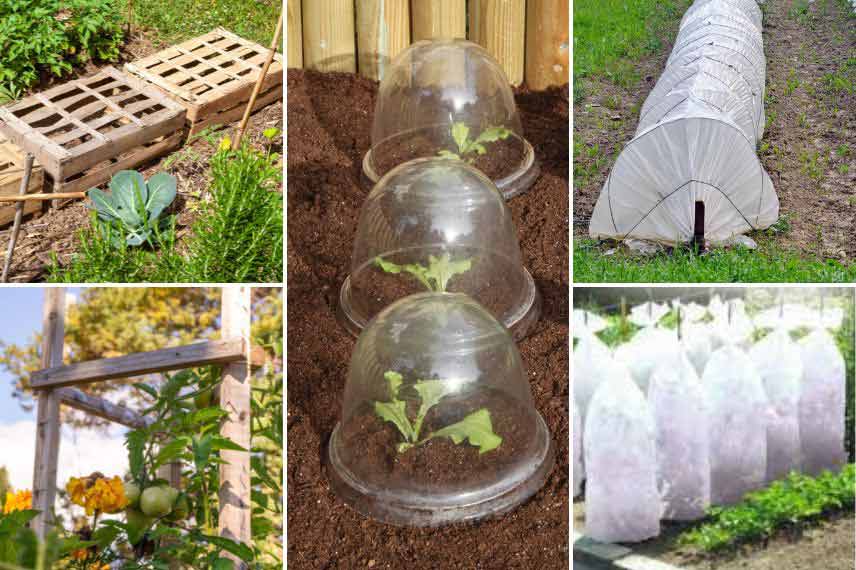 protéger le jardin orage pluie grêle 