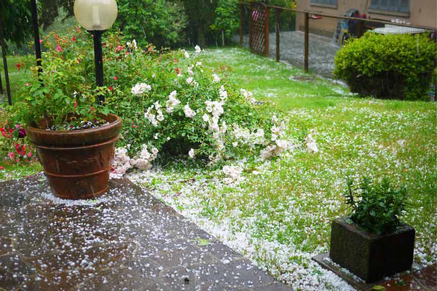 protéger le jardin orage pluie grêle