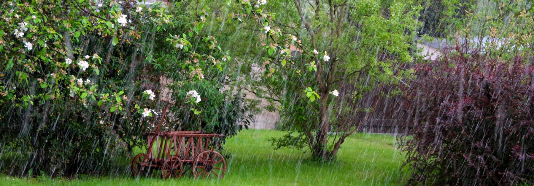 Fortes précipitations : nos conseils pour protéger le jardin