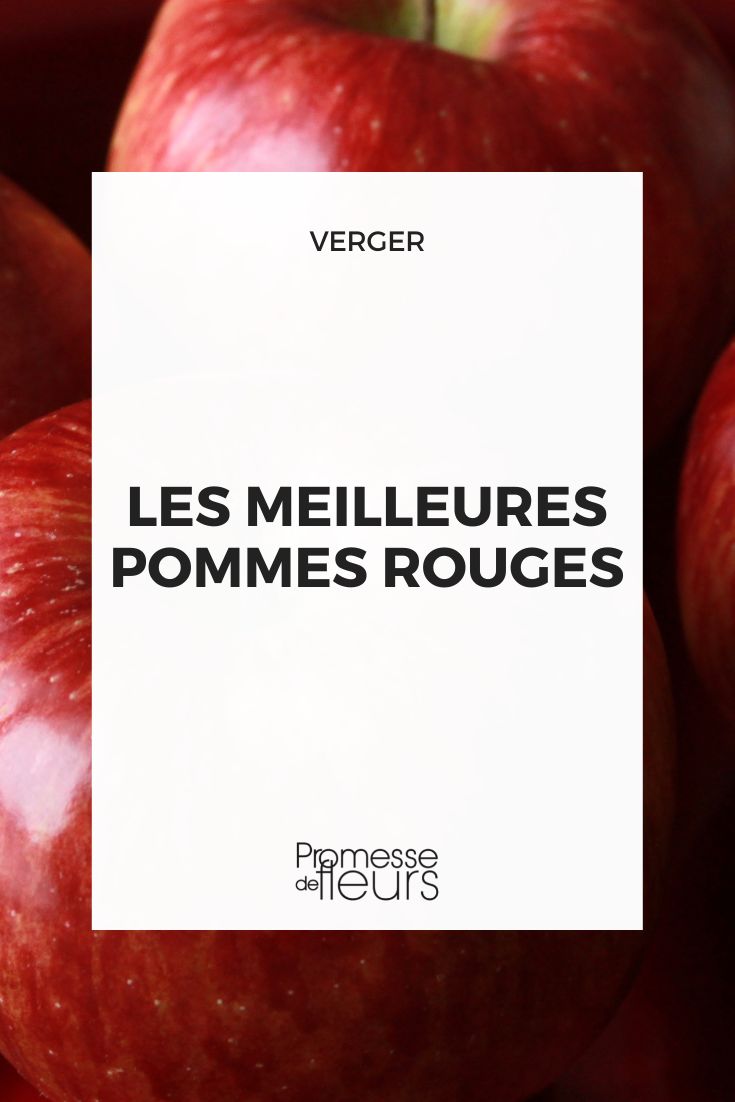 meilleures pommes rouges