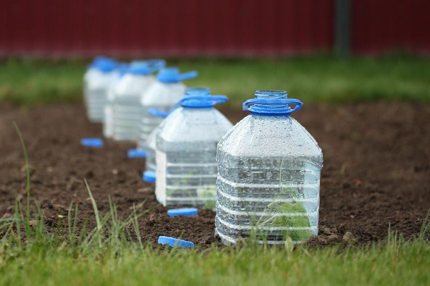 protéger le potager en hiver