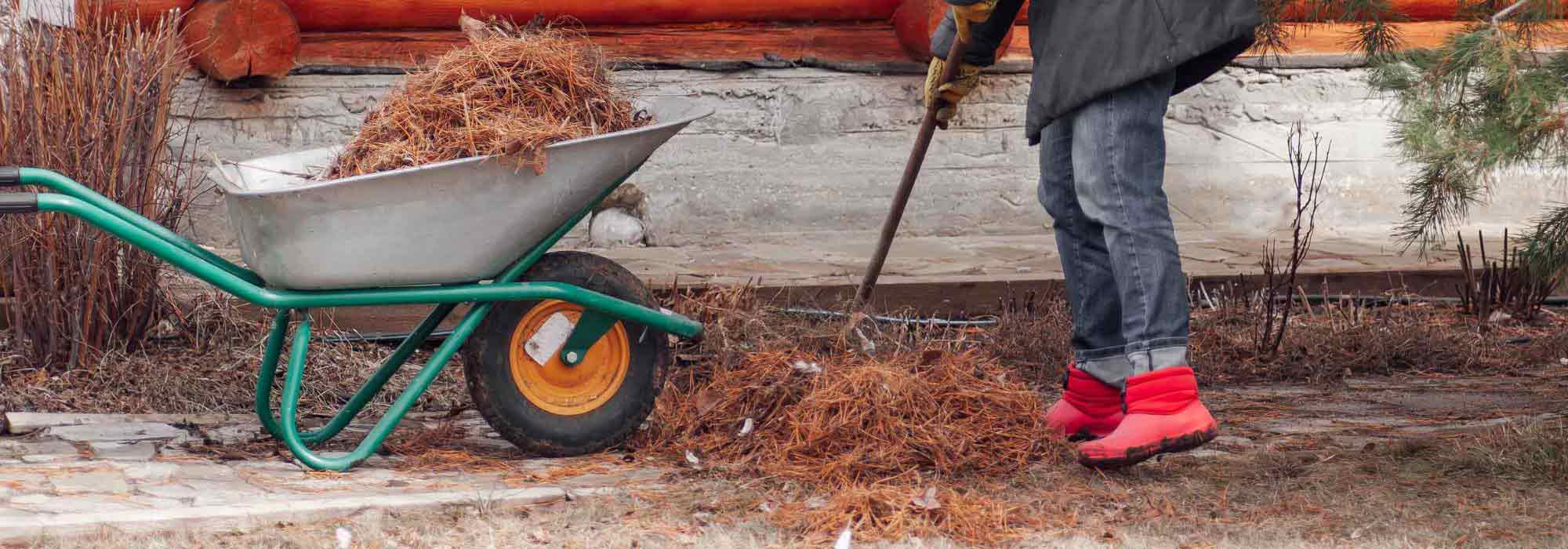 Jardinage : pots, arrosage, terreau, tondeuse et outils