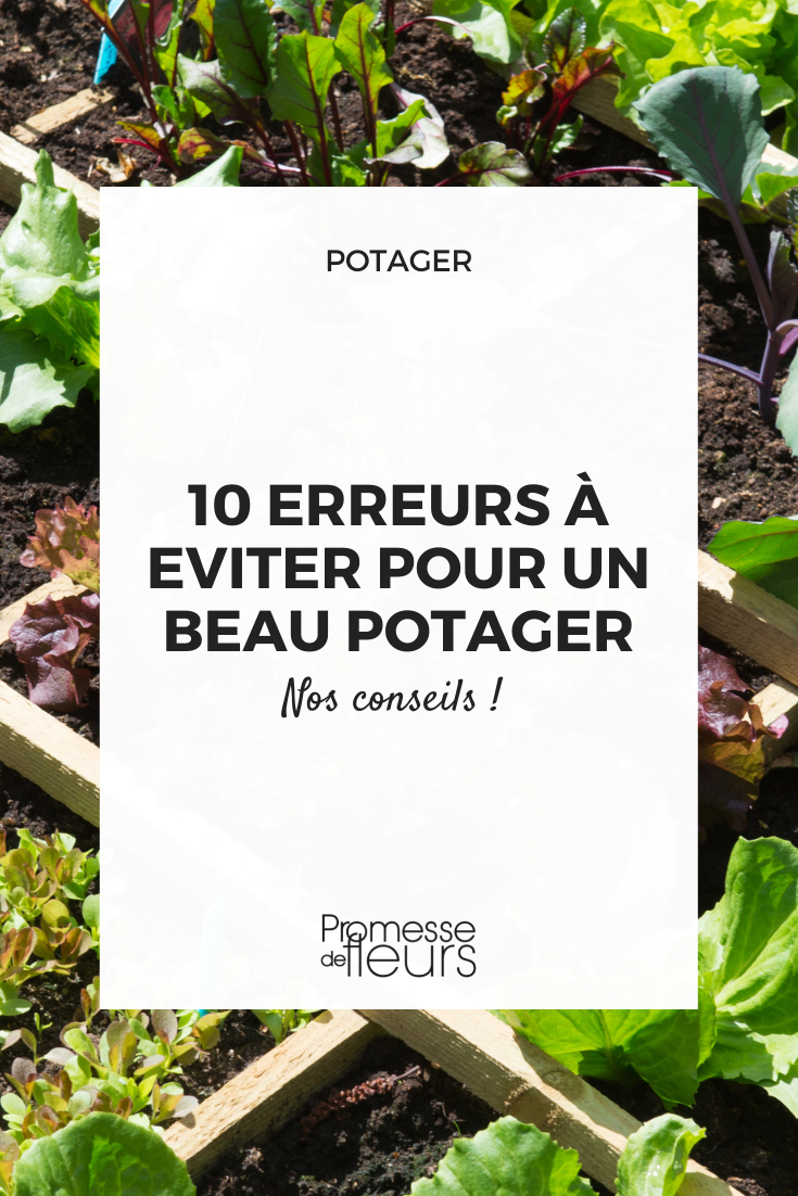 Erreurs à éviter potager