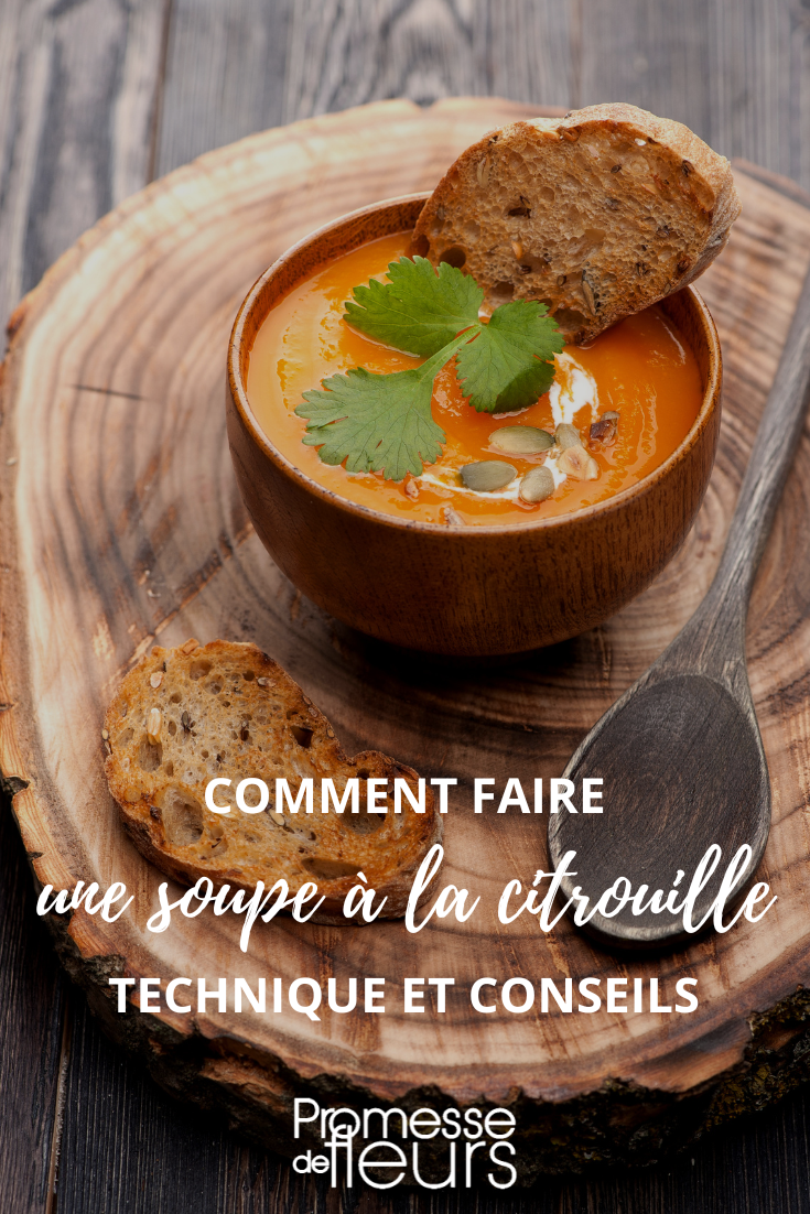 potage courge citrouille