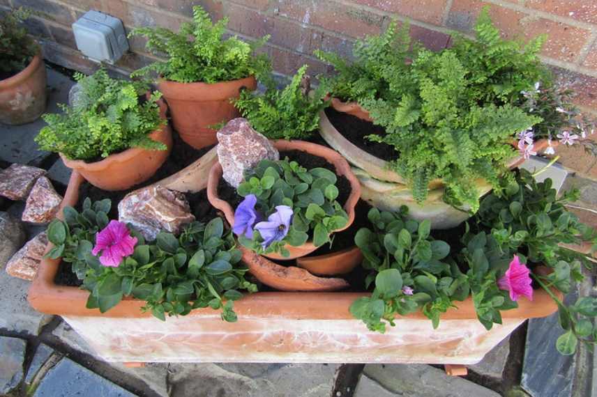 Comment recycler les pots au jardin ? - Promesse de Fleurs