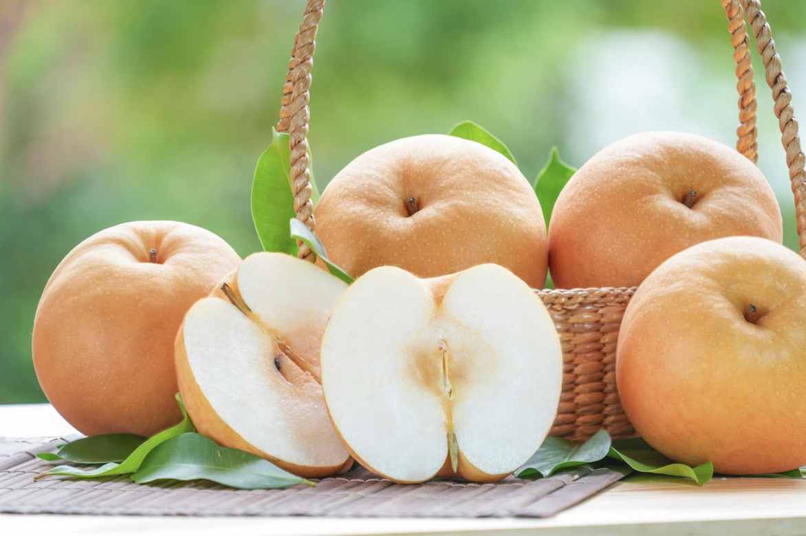 Nashi, Peral japonés, manzana pera, Pyrus pyrifolia