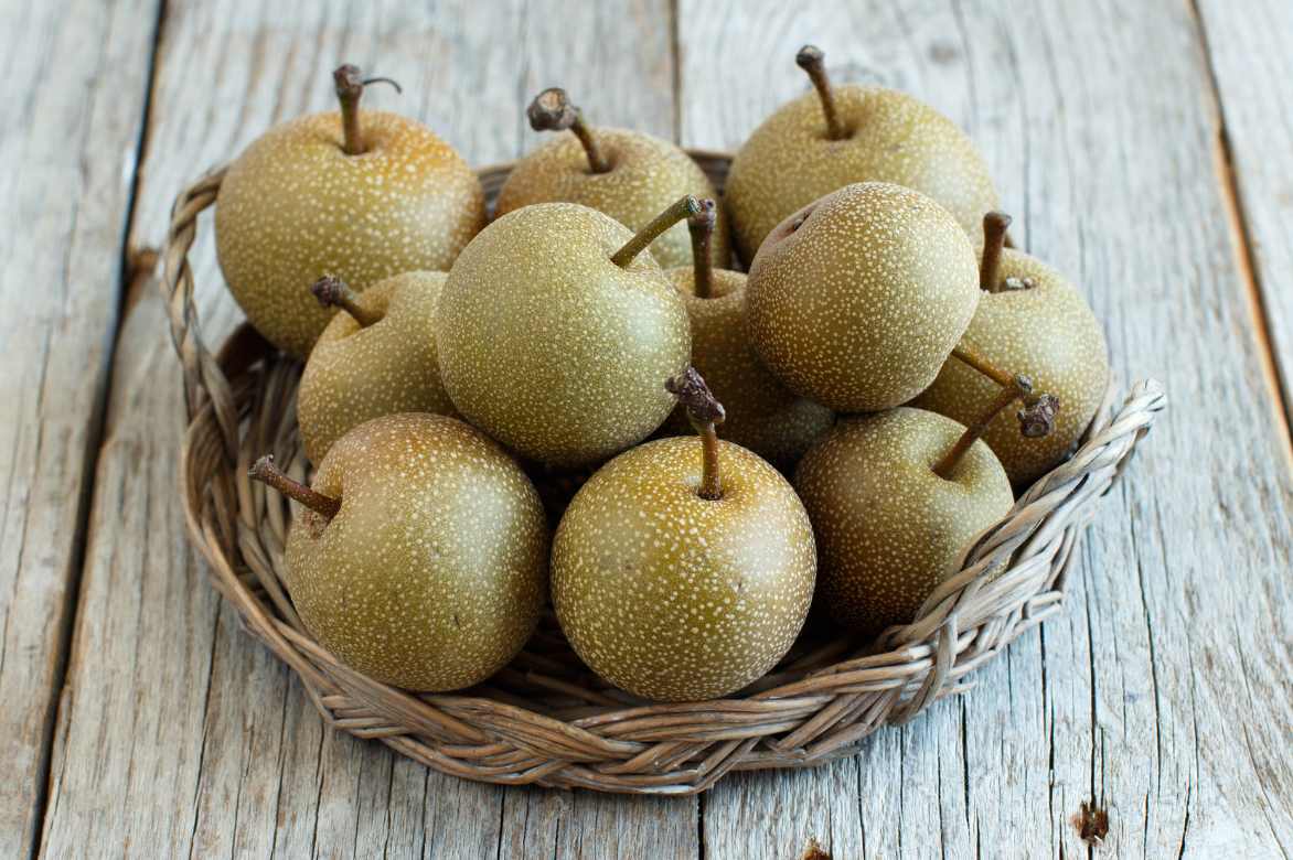 Nashi, Peral japonés, manzana pera, Pyrus pyrifolia