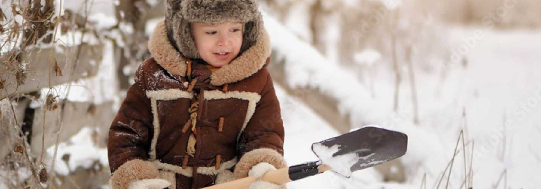 Comment protéger son Olivier en Hiver ? - Apprendre à jardiner